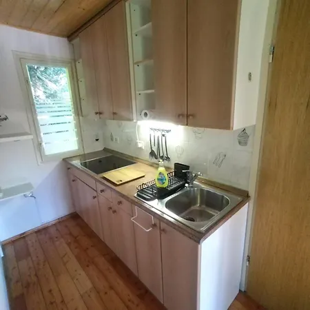 Pocitniska Hisa Lokve Holiday home